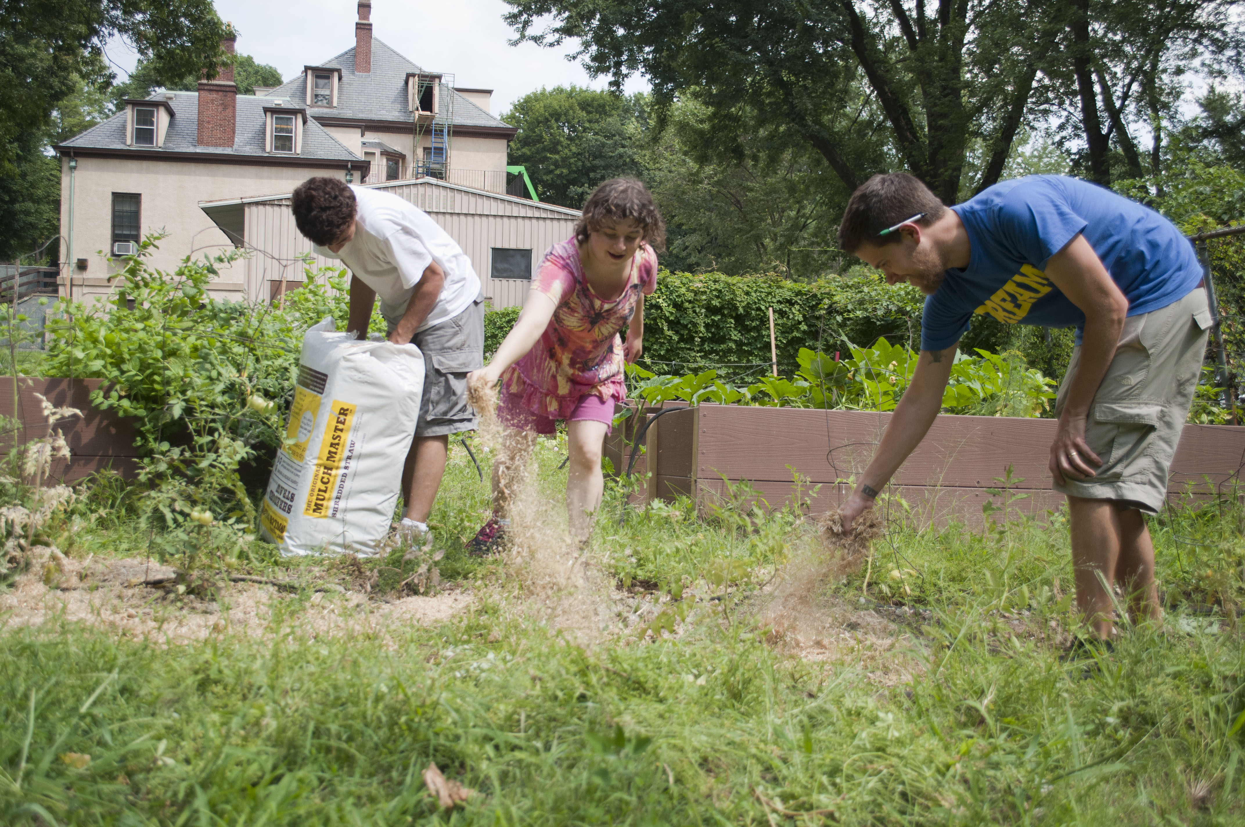 Ivy Street School students and staff work in the garden in the disputed space behind the school