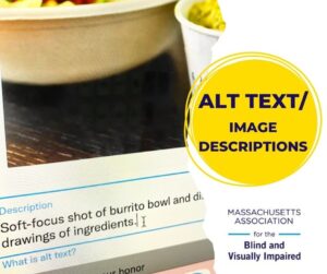 Text says ALT TEXT image description. Image of alt text on a screen